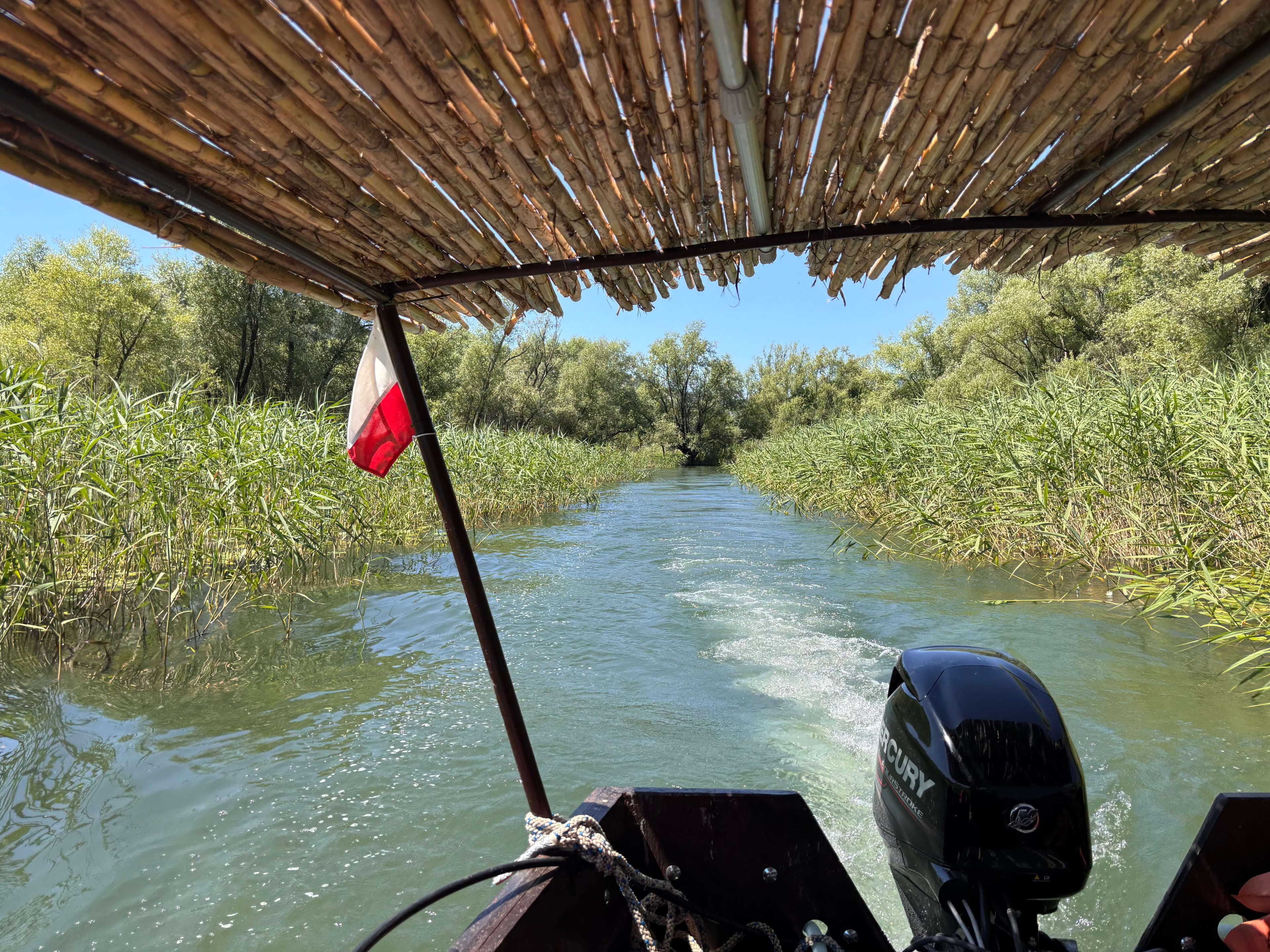 Prywatna łódź w wąskim, trzcinowym kanale rzeki Crnojevića podczas rejsu 3 Rivers & Lake Unforgettable Jungle na Jeziorze Szkoderskim